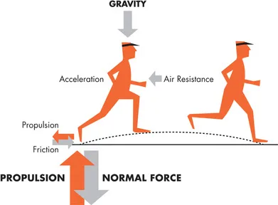 Impact Forces: Why Running is Different