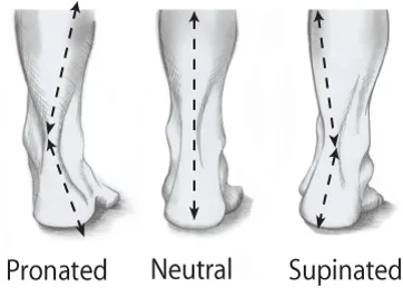 Stability vs. Neutral running shoe